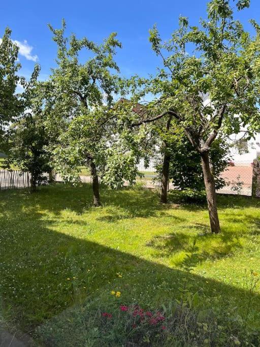 Wunderschoene Wohnung In Perfekter Lage Hilpoltstein Luaran gambar